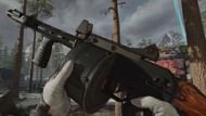 Image via Activision
